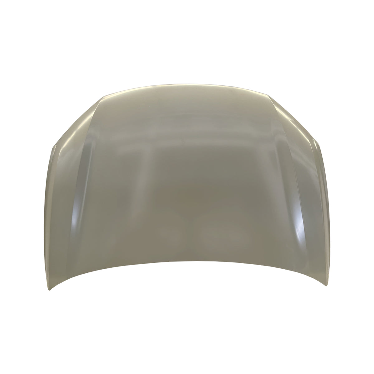 REPLACEMENT HOOD, 2021-, FOR BYD E2, EL-8402010/77