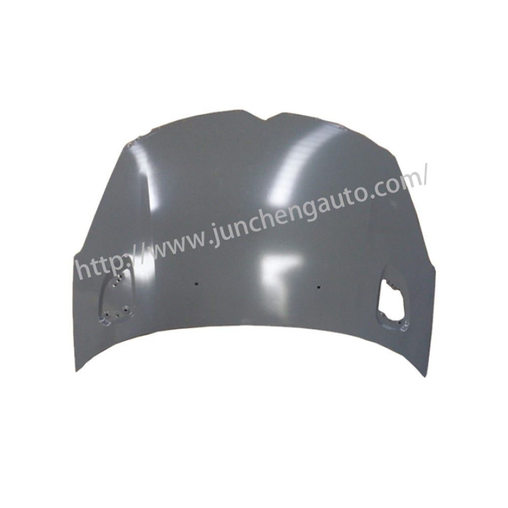 REPLACEMENT HOOD, FOR CITROEN C2, 7901P2