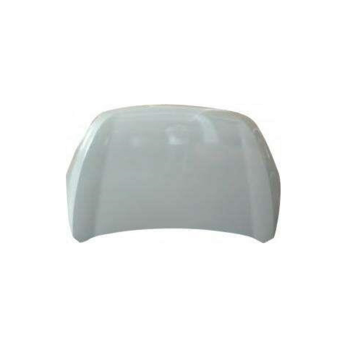 REPLACEMENT HOOD, FOR JAC S2