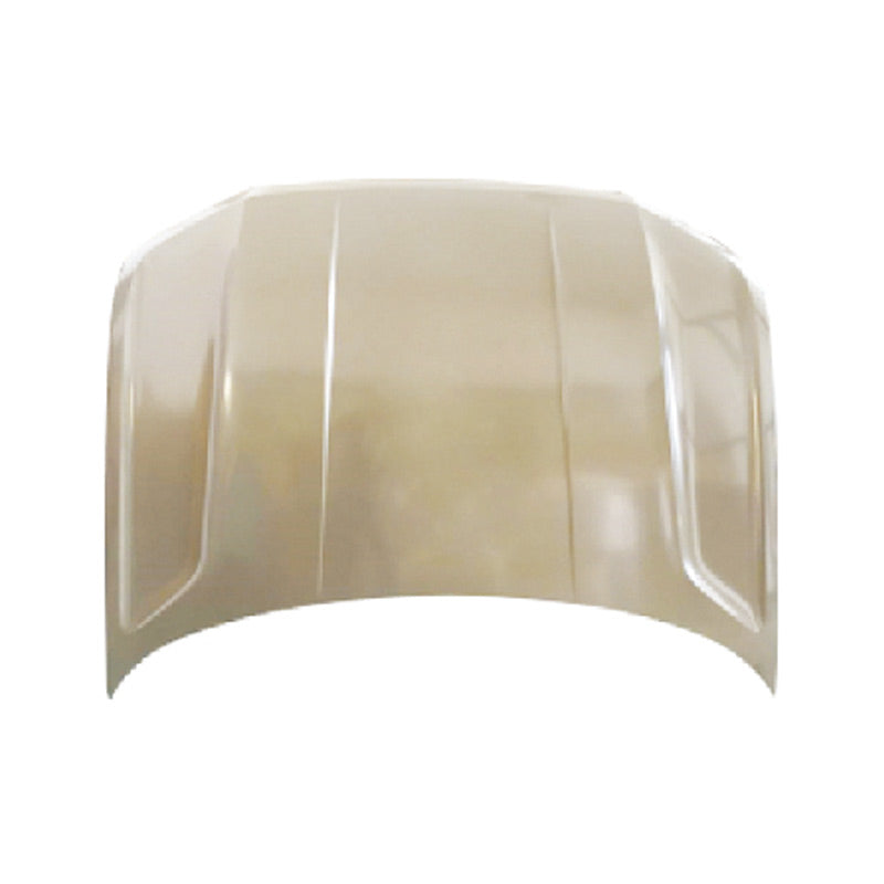 REPLACEMENT HOOD, 2017-, FOR VOLKSWAGEN TERAMONT, 3CG 823 031