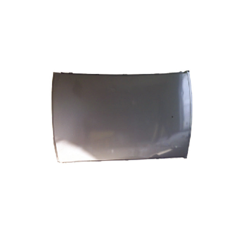 REPLACEMENT ROOF PANEL, FOR CITROEN C4