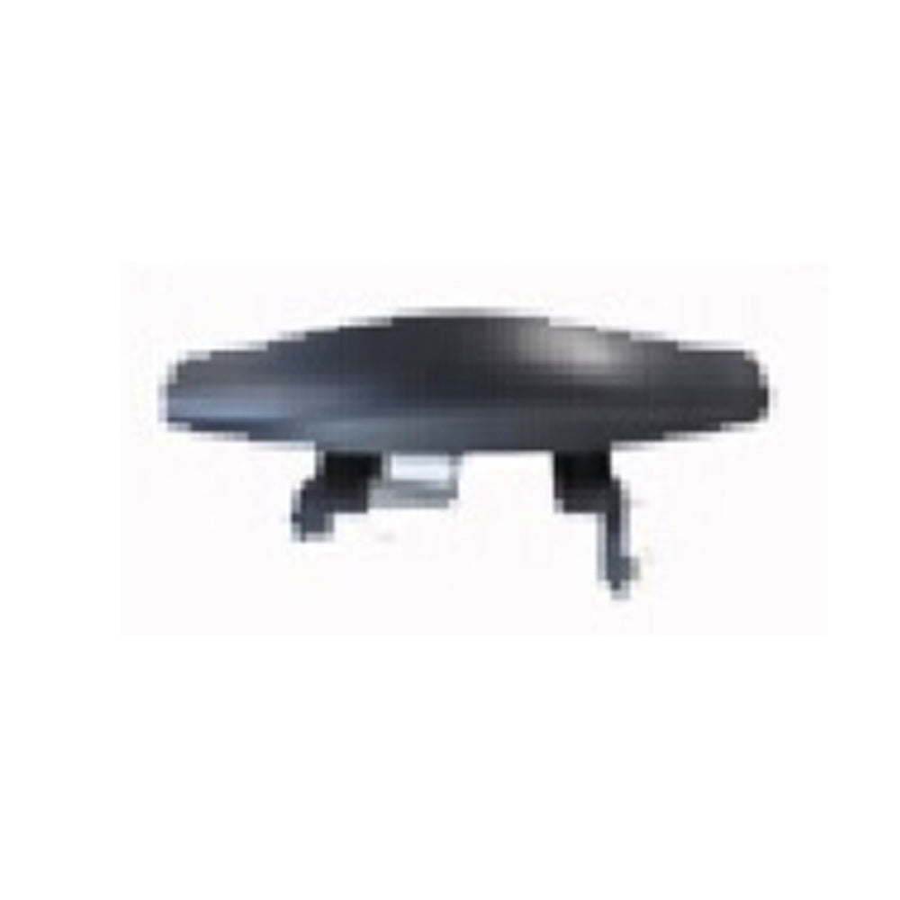 REPLACEMENT DOOR HANDLE RH, 2008-, FOR RENAULT DACIA SANDERO, 806074969R      806067380R