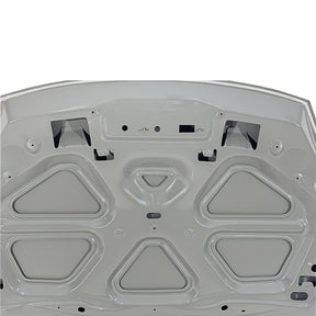 REPLACEMENT HOOD, 2009-, FOR RENAULT SYMBOL, 7751478641R